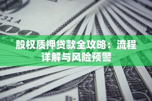 北京股权质押贷款全攻略：流程详解与风险预警