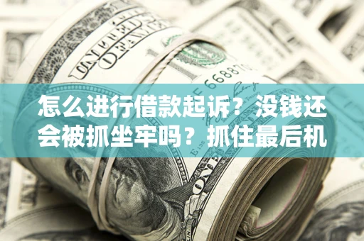 北京怎么进行借款起诉？没钱还会被抓坐牢吗？抓住最后机会！