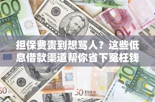 北京担保费贵到想骂人？这些低息借款渠道帮你省下冤枉钱