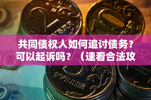 北京共同债权人如何追讨债务？可以起诉吗？（速看合法攻略）