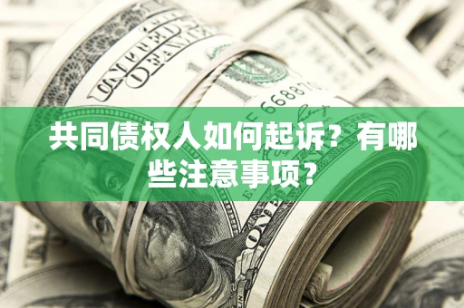 北京共同债权人如何起诉？有哪些注意事项？