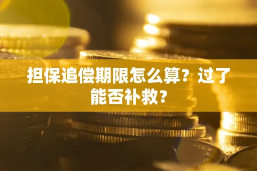 北京担保追偿期限怎么算？过了能否补救？